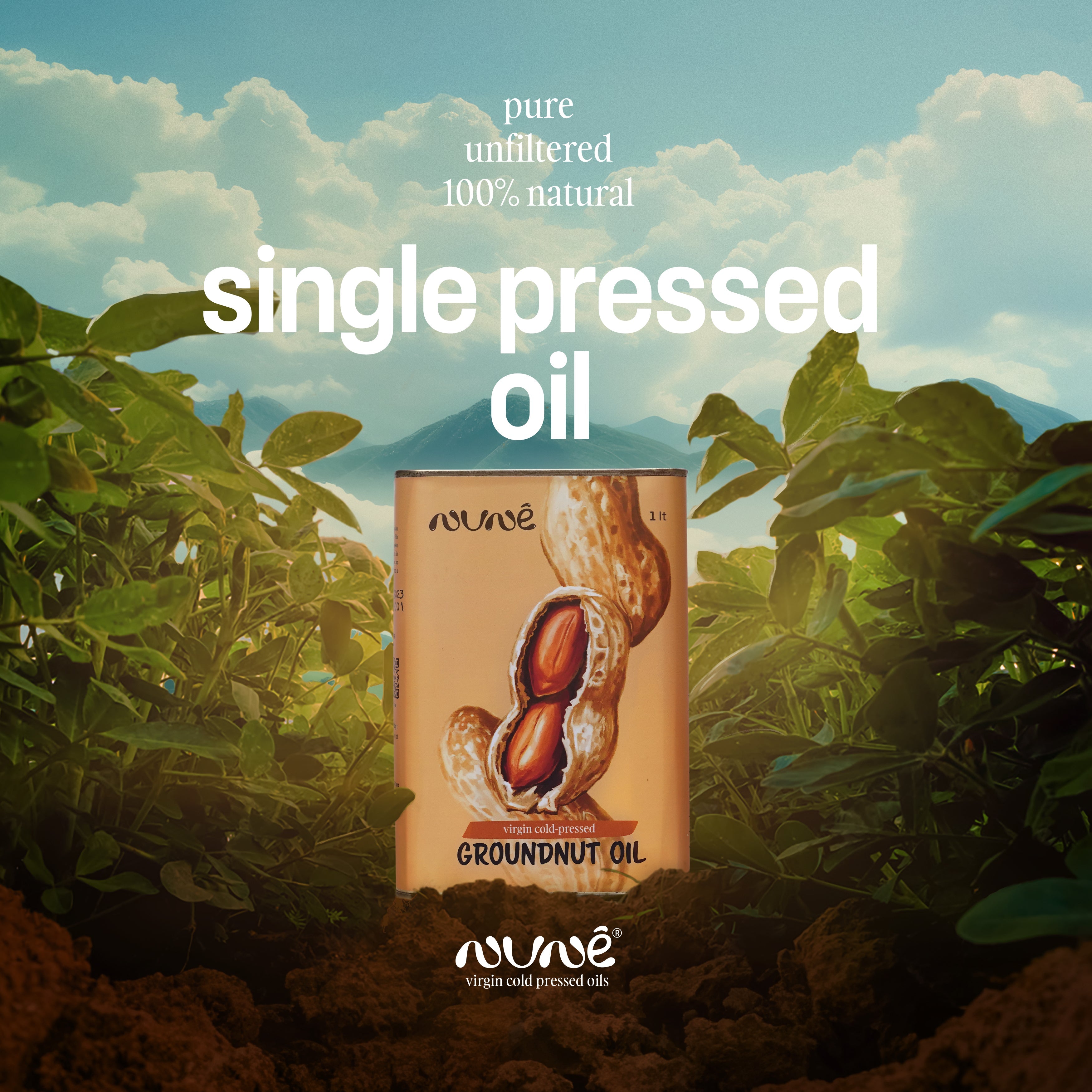 Groundnut Oil