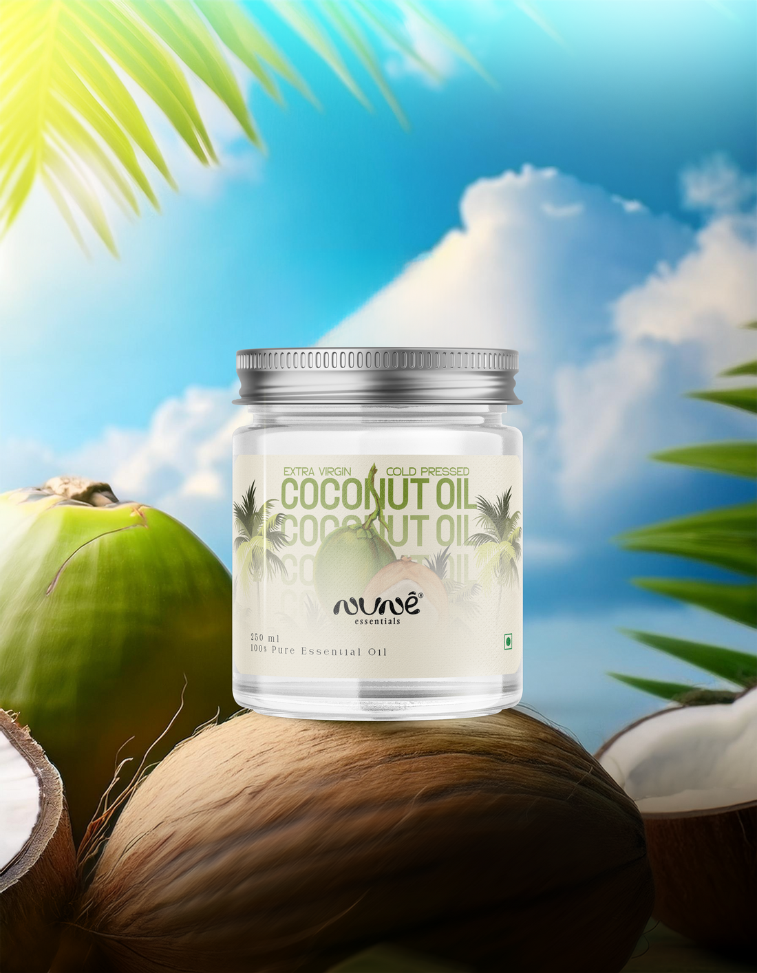 The jar resting on coconuts under palm trees